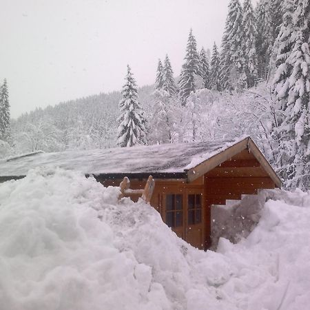 Appartement Schmittenblick Zell am See Bagian luar foto